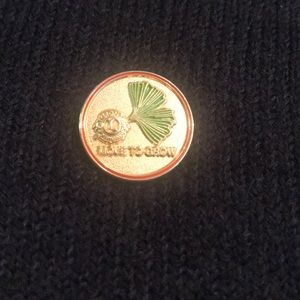 Lions International Pin